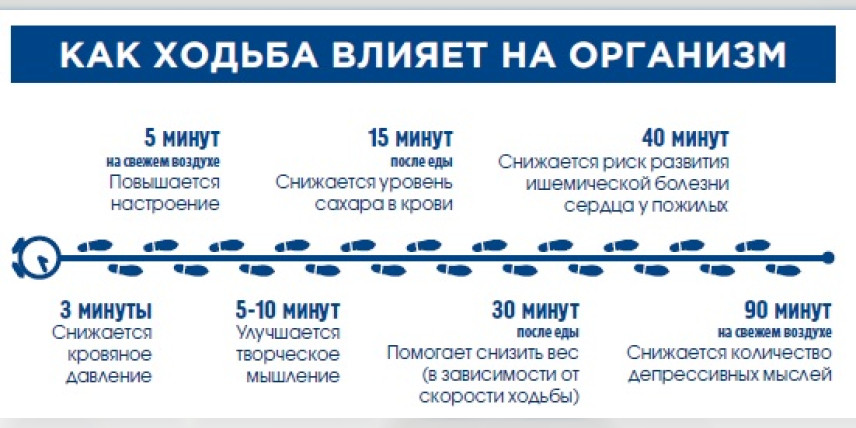 Влияние ходьбы на здоровье